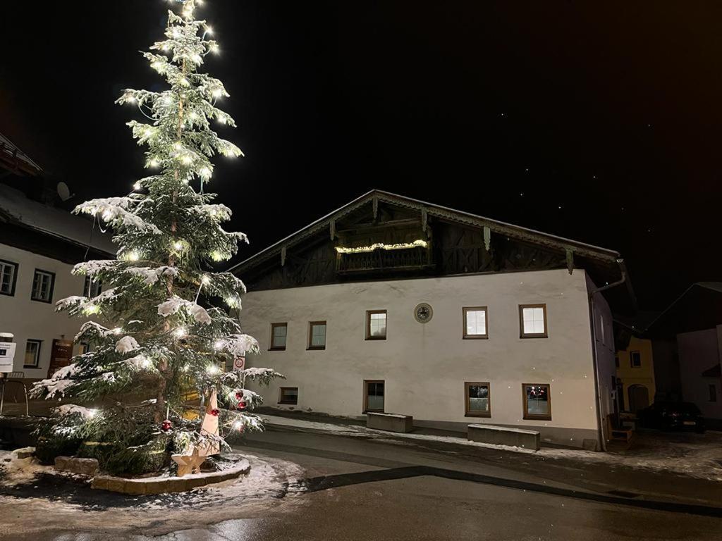 StuWip alps Appartement Sonnenstein Fulpmes Extérieur photo